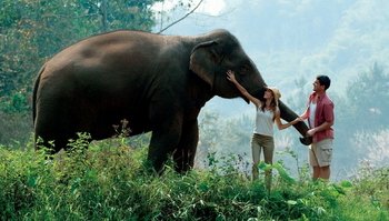 tour-elefanti-Koh-Chang-Thailandia