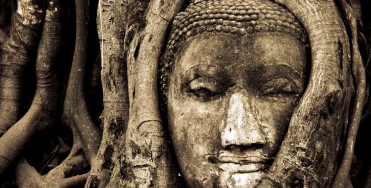 buddha-head-ayutthaya_19472_990x742