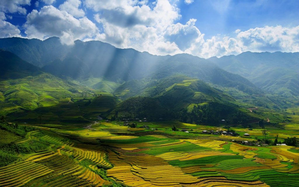 Sa Pa risaie vietnam