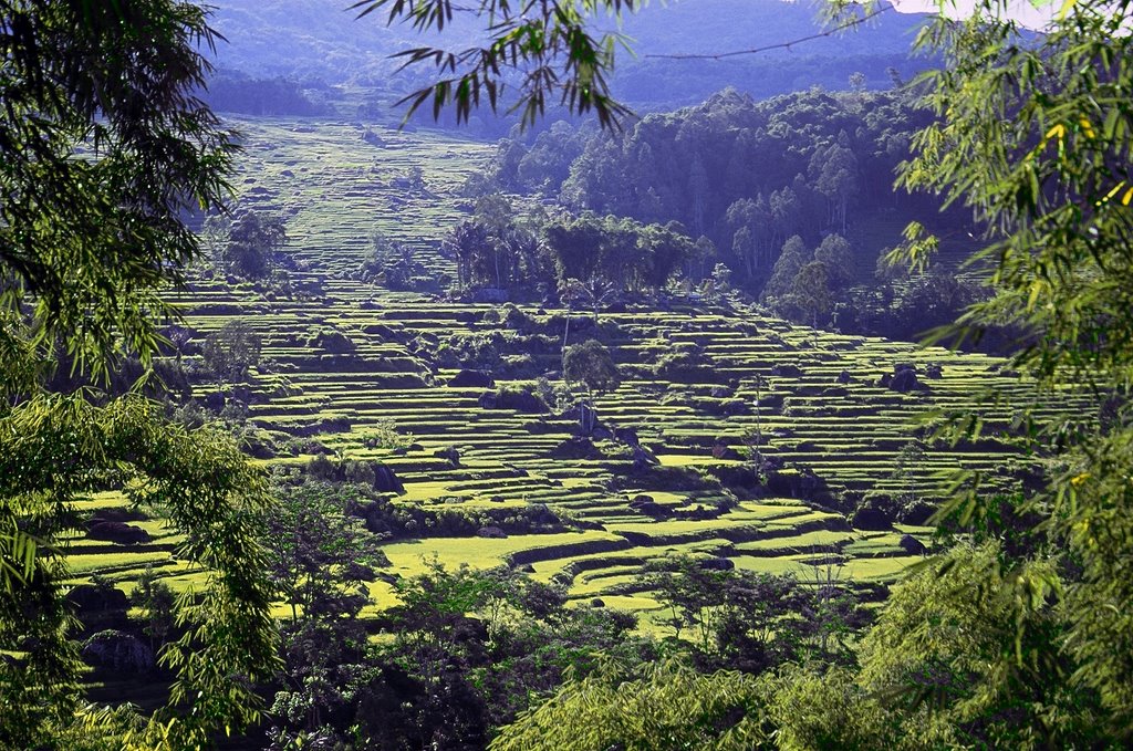 rantepao-sulawesi-indonesia