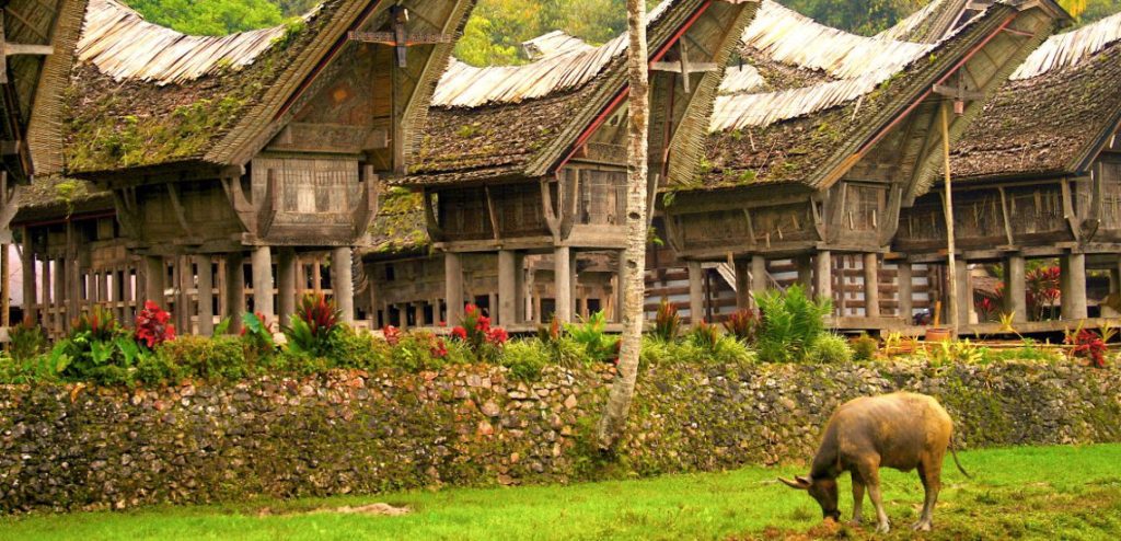tana toraja indonesia abitazioni tana toraja indonesia