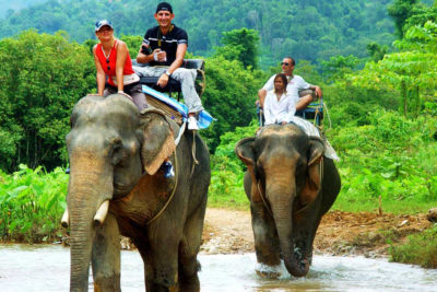 parco nazionale di khao sok in thailandia escursione in elefante parco nazionale di khao sok in thailandia