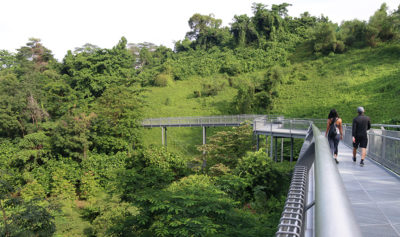 natura a singapore natura a singapore nel mount faber park