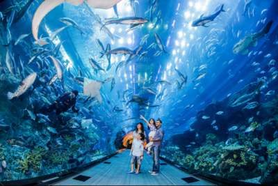 natura a singapore natura a singapore sea aquarium
