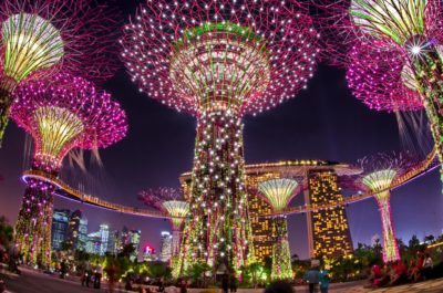 natura a singapore spettacolo serale gardens by the bay singapore