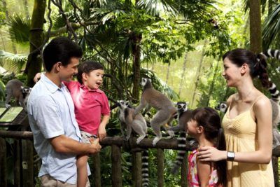 natura a singapore singapore zoo