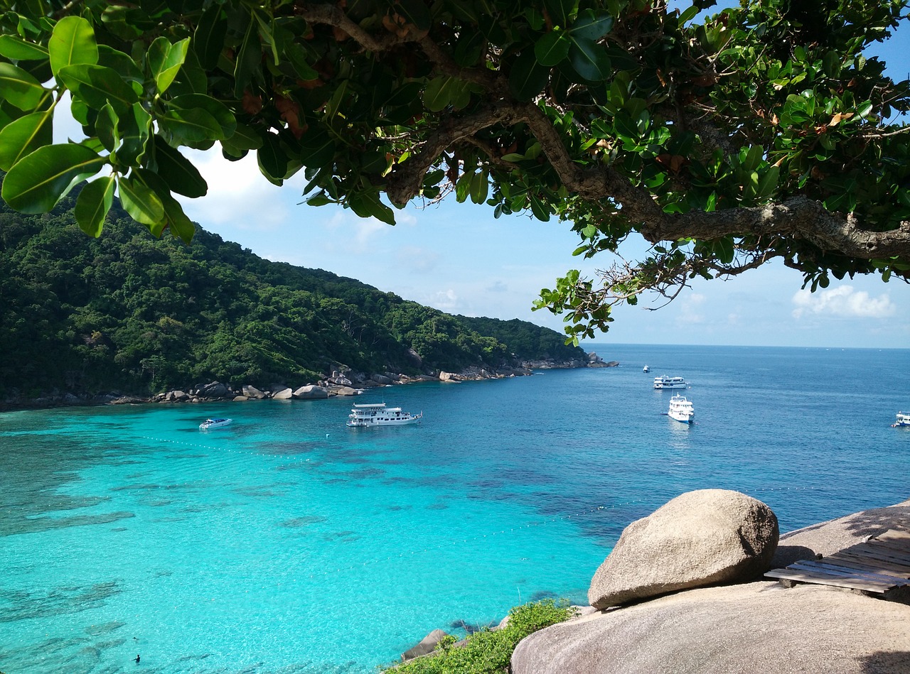 Escursione Similan Islands e Tachai Surin National Park
